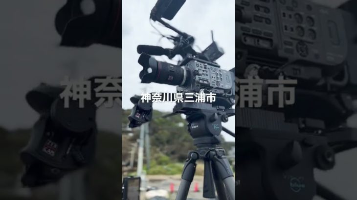 神奈川県三浦市
