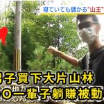 日本近來掀起一波「山林買賣」熱潮，把買下來的森林租出去比買房還賺？！