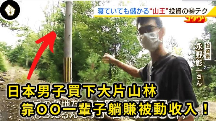 日本近來掀起一波「山林買賣」熱潮，把買下來的森林租出去比買房還賺？！