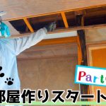 【猫部屋作り-①】雨漏れでボロボロの和室を 猫ちゃん専用のお部屋にリノベーション！！『80万円で買った古民家をDIY』