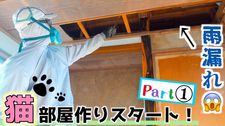 【猫部屋作り-①】雨漏れでボロボロの和室を 猫ちゃん専用のお部屋にリノベーション！！『80万円で買った古民家をDIY』