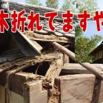[大工さんの建築録#170]古い屋根の隅木が折れた！屋根替えせずに部分限定で隅木を差し替えれ！