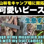 【キャンプ場を作る】可愛いビーストを隠し撮りの巻｜山林をキャンプ場に開拓するシーズン１＃３[いちにいキャンプちゃんねる]