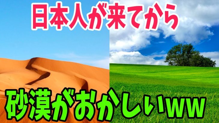 【海外の反応】「奇跡を目の当たりにしている」日本人教授がゴミと家畜の〇〇だけでアフリカを緑化！？一体どうやって！？【アメージングJAPAN】