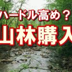 山林を買うのはハードル高い？宅建業＋山林所有者だからわかる趣味用山林購入の注意点