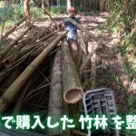 竹林管理の流れがわかるシリーズ#1　道掃除と間伐　【20万円の竹林整備】