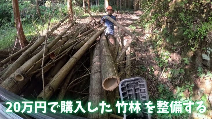 竹林管理の流れがわかるシリーズ#1　道掃除と間伐　【20万円の竹林整備】