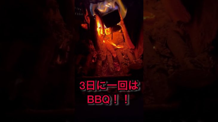 【DIYの廃材処理は超大変】伊豆別荘地に70万円で家を買った2人の3日に一回BBQ生活。貧乏なので4割引しか買わないよ！#キャンプ　#shorts