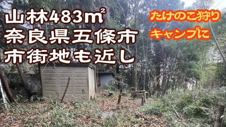 【奈良県五條市】山林の一部売ります。たけのこ狩り、キャンプ用途に。