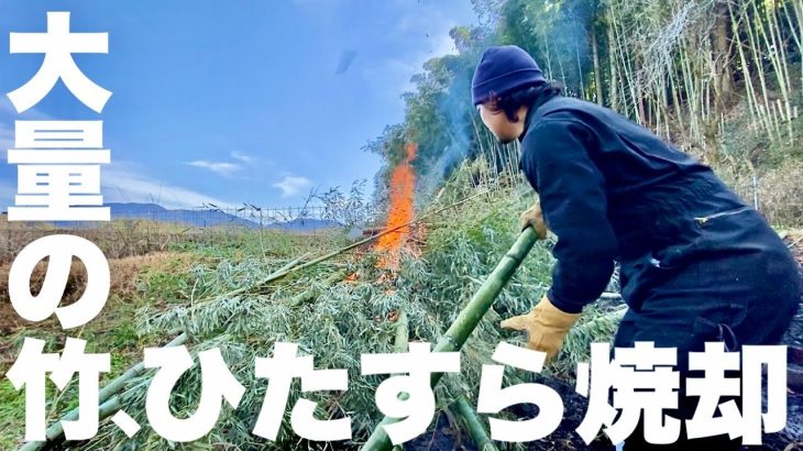 伐採した大量の竹をひたすら焼却！　田舎暮らし古民家再生の1日。