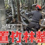 10年放置された竹林整備の2回目｜枯れ竹整理｜たけのこ掘りの準備