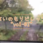 #01 【山林開拓】山の麓に約千坪の土地購入！候補地の一つだった土地の下見の様子です！#山林開拓 #あいのもりビレッジ