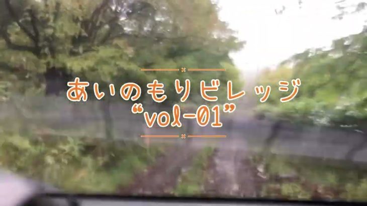 #01 【山林開拓】山の麓に約千坪の土地購入！候補地の一つだった土地の下見の様子です！#山林開拓 #あいのもりビレッジ