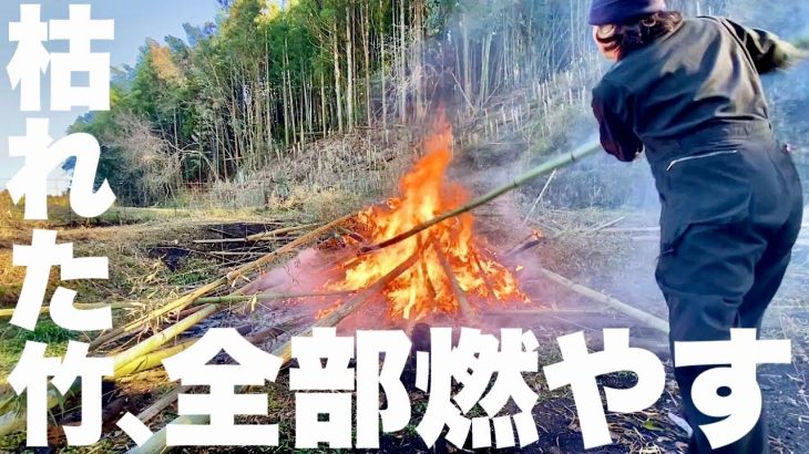 枯れた竹を焼却！　田舎暮らし古民家再生の1日。