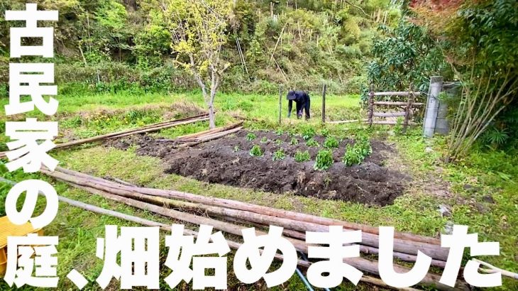 古民家の庭を耕して畑にしています。　　田舎暮らし古民家再生の1日。