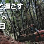 【竹林整備#1】５年放置した裏山で竹の伐採