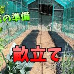 【山林開拓】#152「夏野菜の準備・畝立て」