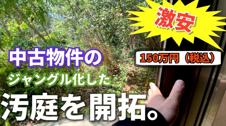 【DIY】150万で買った中古物件の庭を開拓した結果！※中古物件リフォームの日記動画