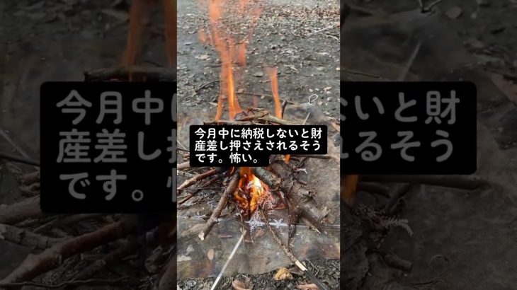 山（4000坪）の固定資産税。