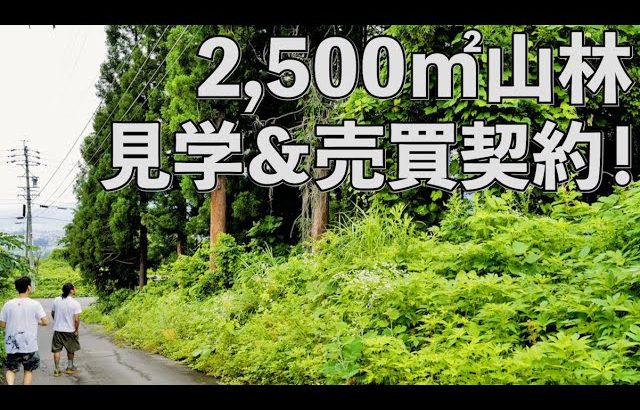 2500㎡の山林を見学＆取得！【山林DIY開拓プロジェクト】