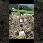 ②プライベートキャンプ場作ってみた | 秘密基地DIY