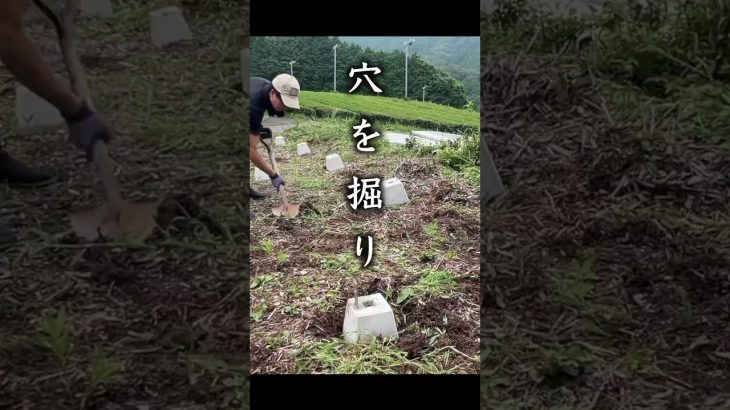 ②プライベートキャンプ場作ってみた | 秘密基地DIY