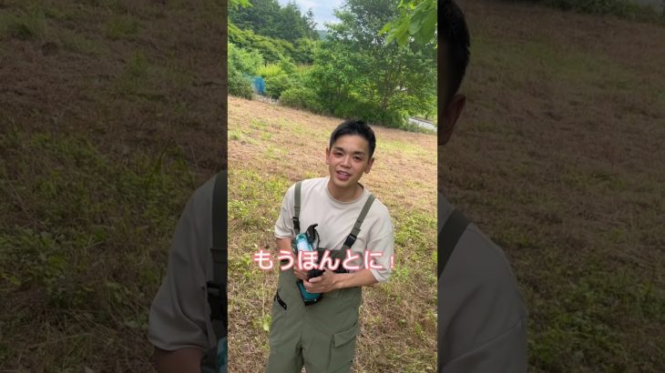 1000万の借り方 #キャンプ #キャンプ場開拓 #長瀞 #グランピング