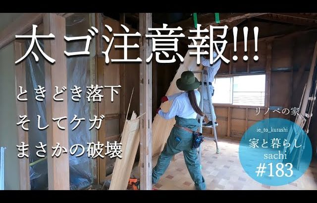 #183【リノベの家】迷っていたこの部屋の壁を解体決定|太ゴ注意報!? ときどき落下・そしてケガ・まさかの破壊