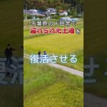 忘れられた土地を復活させる#農業＃移住#地域おこし協力隊#千葉県#農家＃起業＃農地＃田舎暮らし＃初心者#DIY＃農村生活#shorts