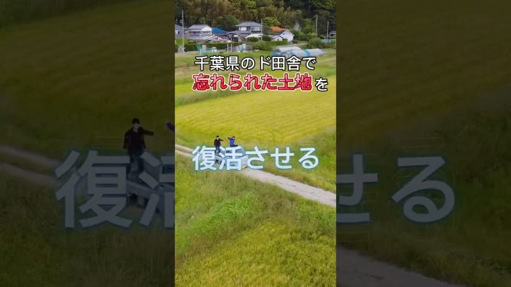 忘れられた土地を復活させる#農業＃移住#地域おこし協力隊#千葉県#農家＃起業＃農地＃田舎暮らし＃初心者#DIY＃農村生活#shorts