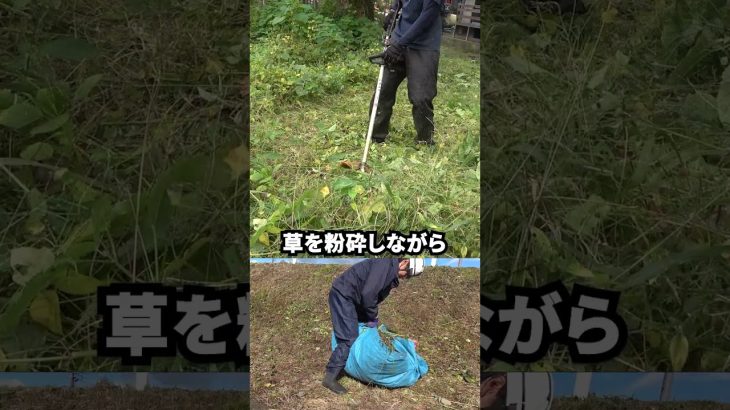 ツムラ山林三枚刃 夏から晩秋の草刈りに最適