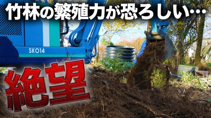 【後悔】家の庭には竹は植えないで…竹の恐ろしさを実感しました。【廃墟復興340日目】