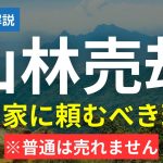 【2024年相続】山林所有者必見！山林売却を専門家に頼むべき理由！