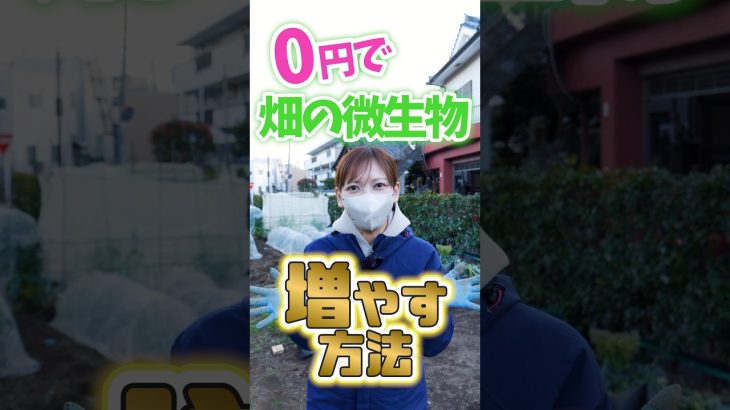 家庭菜園や農園で畑の微生物を0円で増やす土作りを徹底解説！残渣を利用して栄養豊富な土作りと春夏野菜の育て方！【農家直伝】#shorts