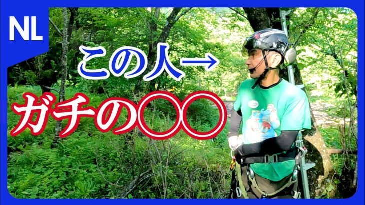 業者なし、資金なし、集まった者だけで 山林開拓して40年前のキャンプ場廃墟を再生せよ 🌲 アーボリストって何？