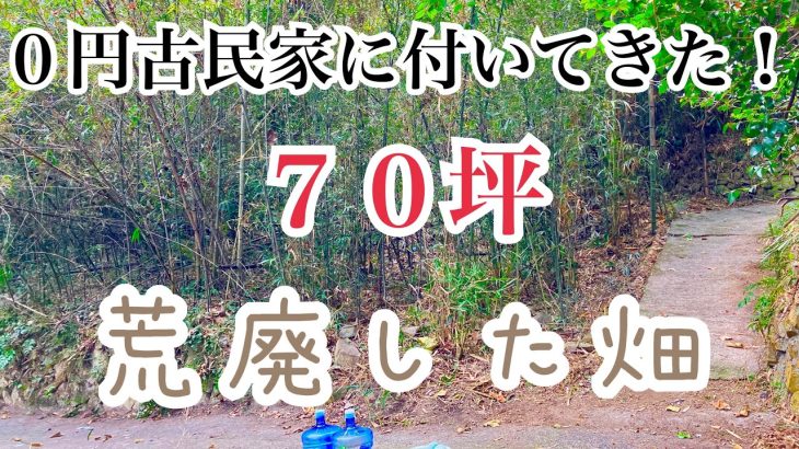 【BASE③】JHBの拠点紹介 大三島の古民家 田舎 自然 山林 農業