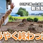 【古民家再生242】ついに敷地の片付けが完了しました!! Restoration of old houses and country life