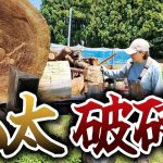 【古民家再生243】片付けで出てきた丸太で薪作り!!  Restoration of old houses and country life