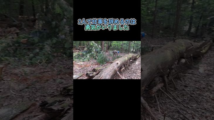 山林開拓2日目#shorts #開拓 #夫婦 #小屋暮らし #田舎暮らし