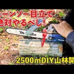 効果絶大！チェーンソー目立て！【DIY｜山林開拓】