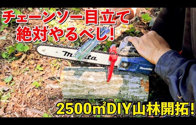 効果絶大！チェーンソー目立て！【DIY｜山林開拓】