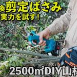 マキタ互換 剪定ばさみの実力を試す！【山林開拓｜DIY】
