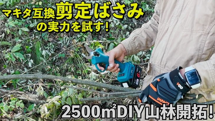 マキタ互換 剪定ばさみの実力を試す！【山林開拓｜DIY】