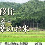 【脱サラ古民家DIY】農薬を使わずに田んぼの雑草を駆逐する　栗畑の草刈り　No.170