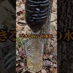 無人島で遭難した時生き残る方法