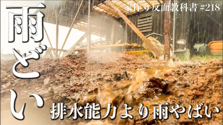 【雨どい】雨水の流れだけはしっかりやった方がいい、水没する軒下に希望が見えてきました。#218