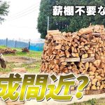 【古民家再生247】原木の山の一時置き場片付け完了しました!  Restoration of old houses and country life