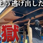 【限界】逃げ出したいほど過酷な作業中…大工さんに救われました。【499日目】