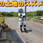 他人の土地のスズメバチ【限界ニュータウン開拓記６】