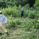 【古民家に住もう#182】荒れ果てたジャングル伐採＆伊勢神宮、倉敷美観地区観光。